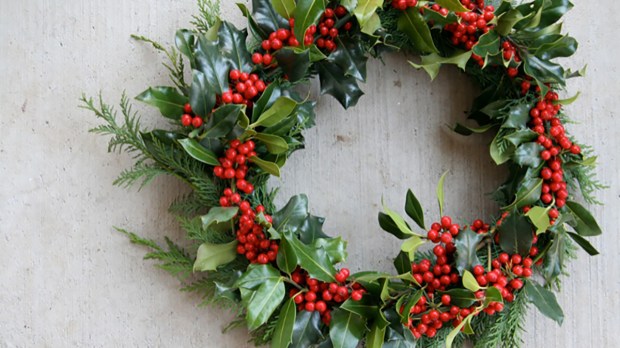 HOLLY WREATH