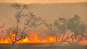 5,5 millions d'hectares sont partis en fumée en quatre mois.