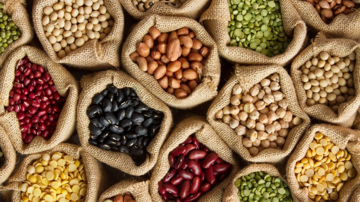 SEEDS