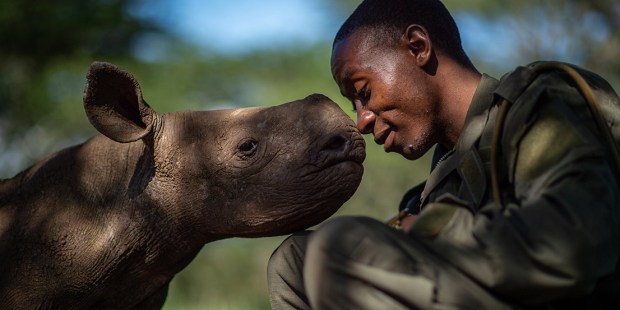 WILDLIFE