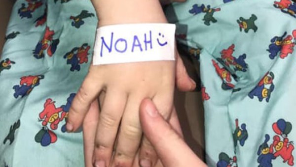 NOAH
