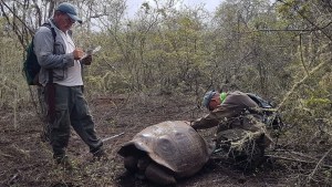 GALAPAGOS