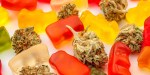 CANNABIS