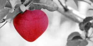 ¿Cómo amar más y mejor?