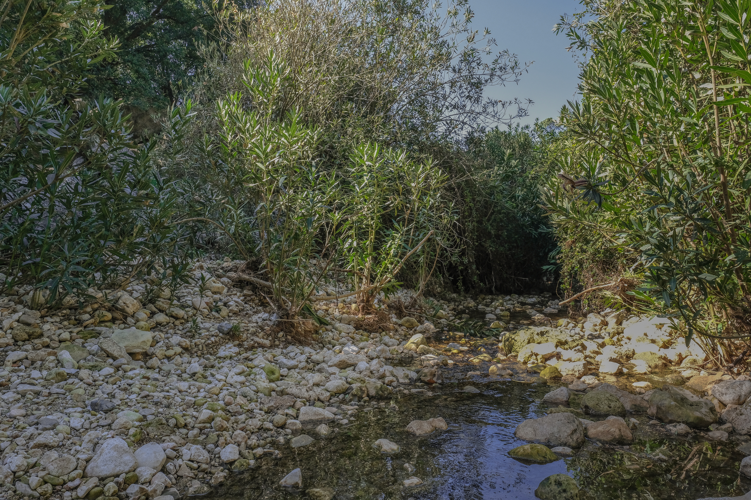 Mount Carmel - river