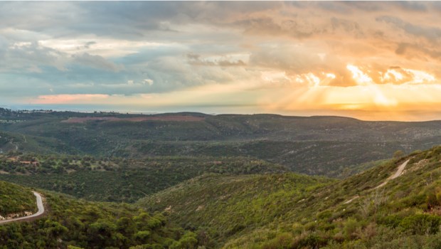 Mount Carmel