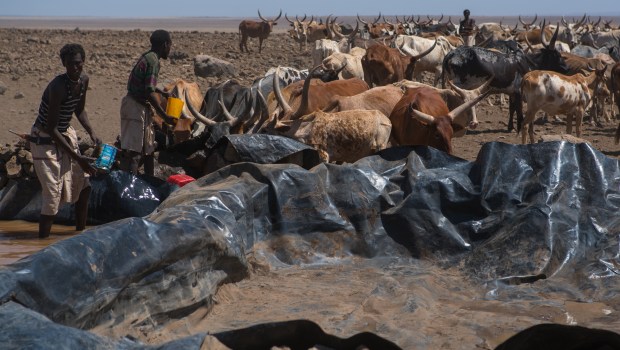 Hunger Africa