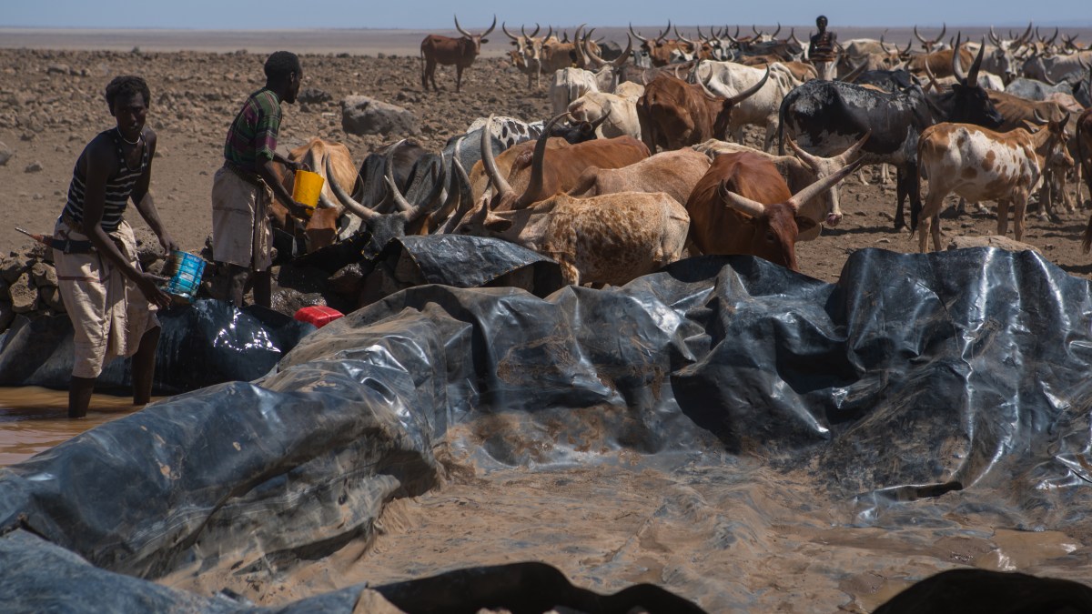 Hunger Africa