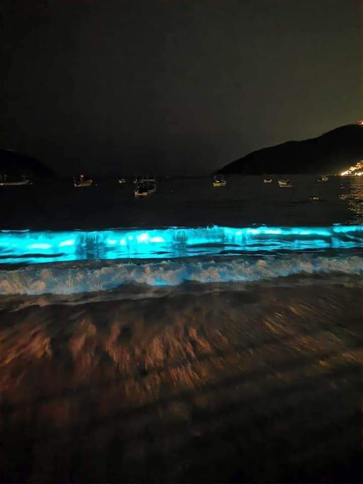 ELECTROLUMINESCENCE