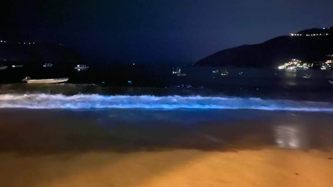 ELECTROLUMINESCENCE