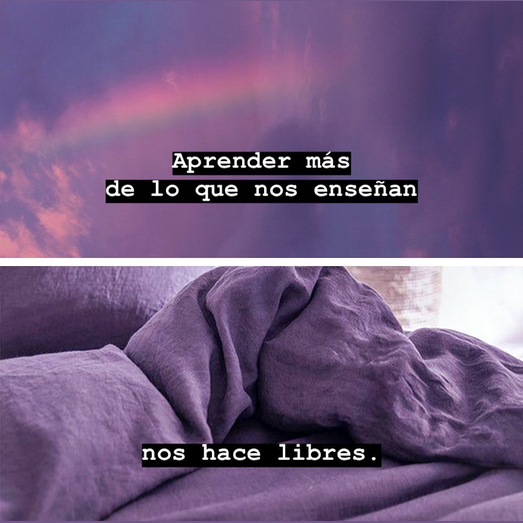 COCO ANIMAUX
