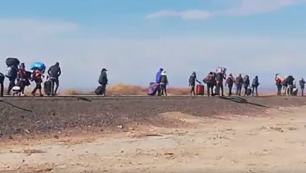 BOLIVIAN