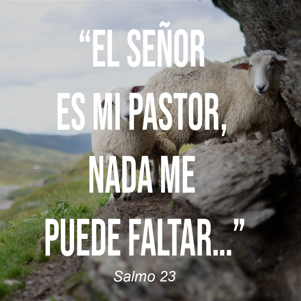 SALMO 23