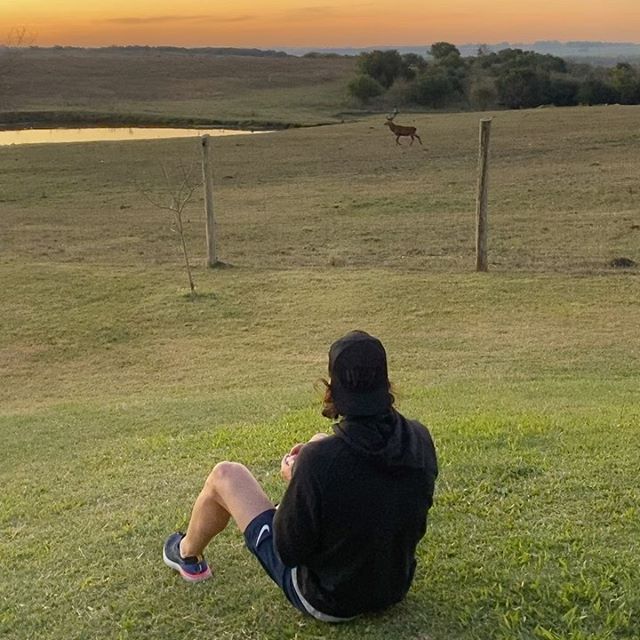EDINSON CAVANI