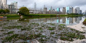 ¿Qué pasa con la malaria en América Latina?