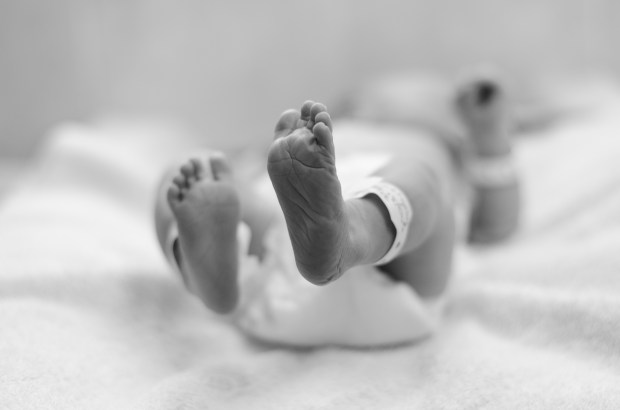NEWBORN