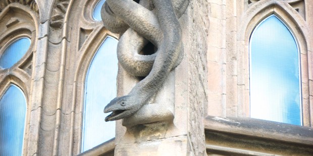 SNAKE