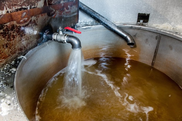 La luz de Lourdes ilumina el renacimiento de Notre Dame en París