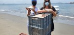 SOS CARTAGENA
