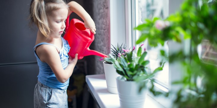 CHILD, WATERING, PLANTS