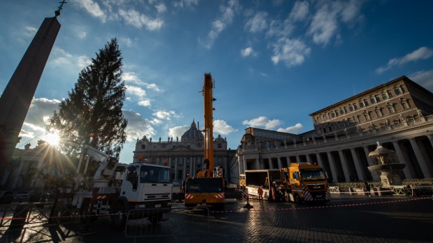 WEB2-AMCT301120-VATICAN-CHRISTMAS-TREE-ST.-PETERS-SQUARE-November-30-2020-Antoine-Mekary-ALETEIA-AM_5254.jpg