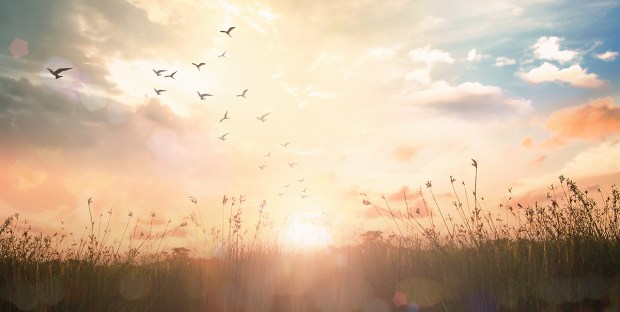 SUNRISE