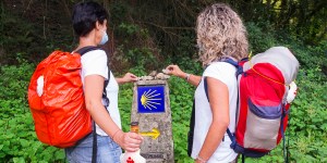 Santiago y la concha marina: el viaje perdurable de un símbolo