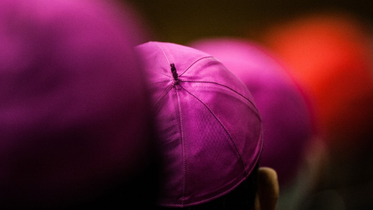 CALOTTES-BISHOPS-ciric_305599.jpg