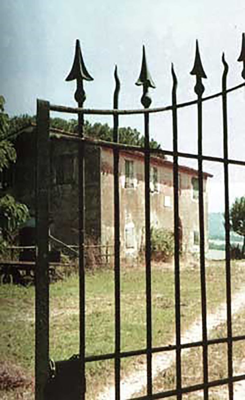 WEB3-8PALIANO.jpg