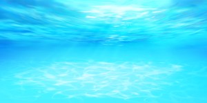 Limpieza interior: cómo lograrla