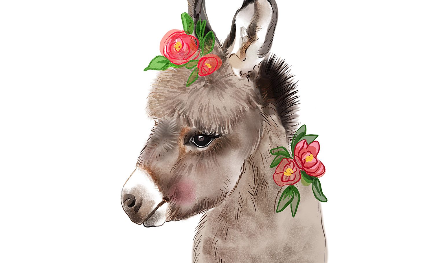DONKEY