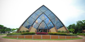 Thumbnail for read also