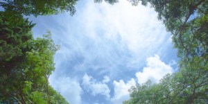 Por qué al mirar al cielo la vida se llena de alegría