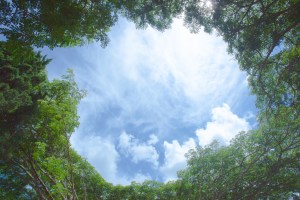 Por qué al mirar al cielo la vida se llena de alegría