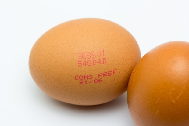 EGGS