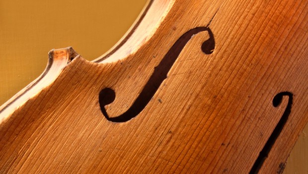 VIOLIN