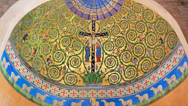 JEZUS WINOROŚL