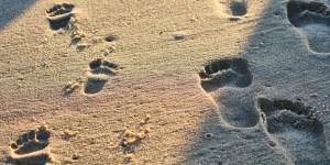 Mamá murió pero sigue a mi lado