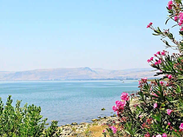 CAPHARNAUM