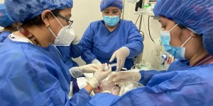 Thumbnail for read also