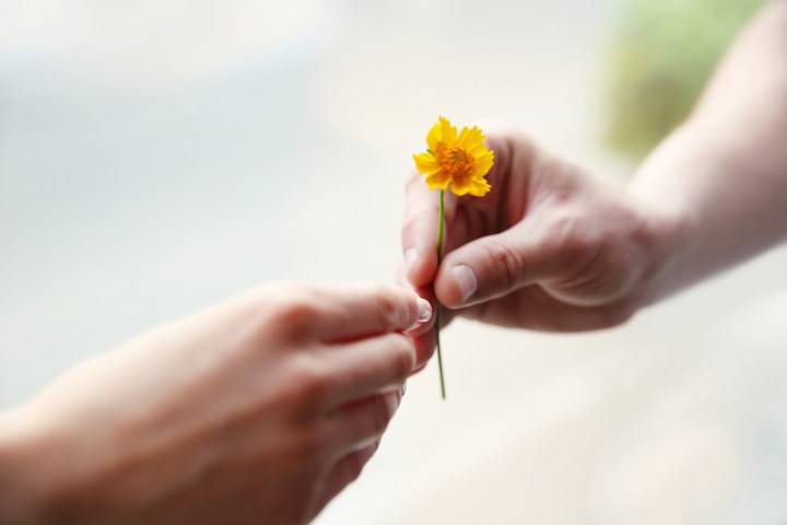 HANDS, GIVING, FLOWER