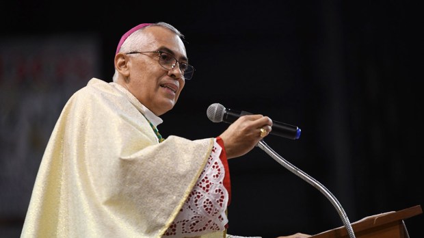 FERNANDEZ TORRES
