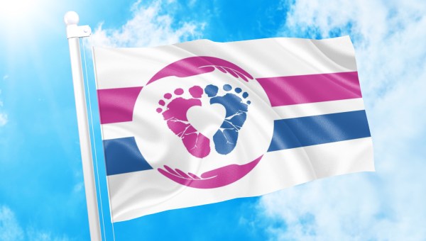 PRO LIFE FLAG PROJECT