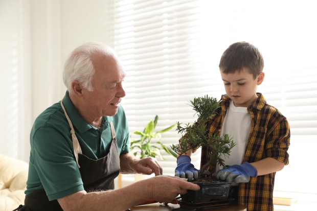 GARDENING