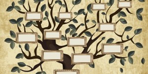 5 razones para hacer el árbol genealógico con tu familia
