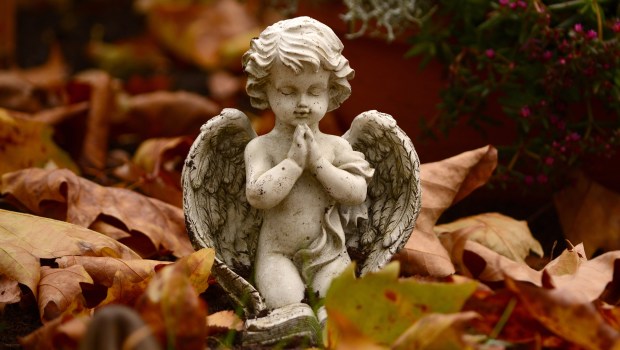 ANGEL