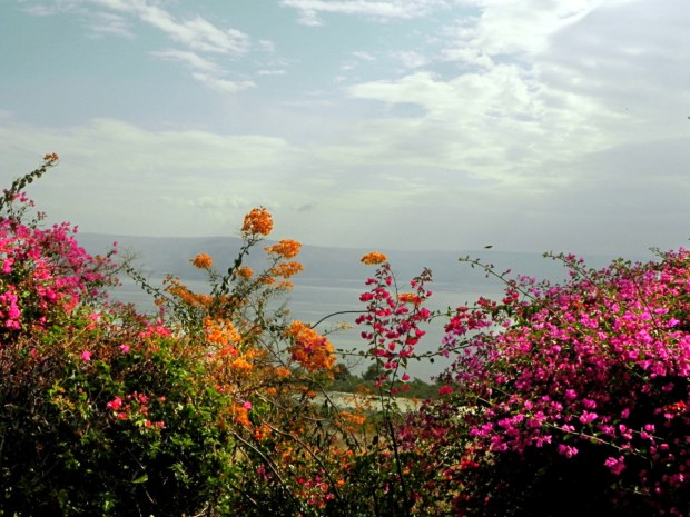 CAPHARNAUM