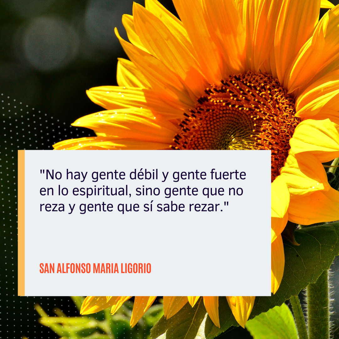 {"rendered":"Frases y reflexiones c\u00e9lebres de San Alfonso Mar\u00eda de Ligorio"}