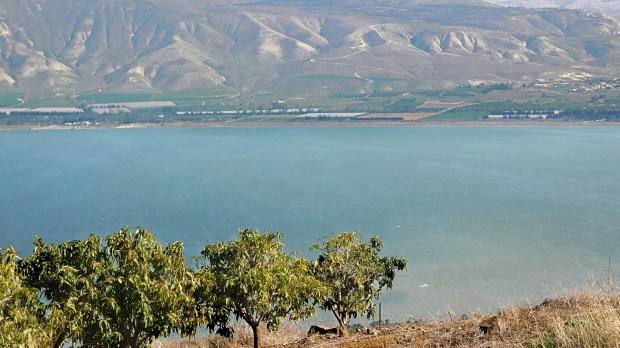 01-Sea-of-Galilee_Photo-credit-Sr-Amata-CSFN.jpg