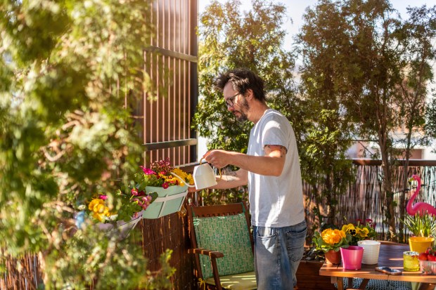 urban garden